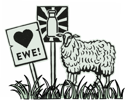 sheep and signs_600%